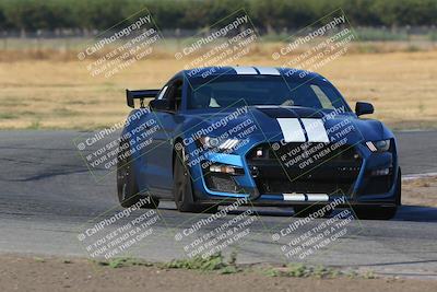 media/Sep-17-2023-Speed Ventures (Sun) [[7e780ba612]]/Green/Session 1 (Grapevine)/